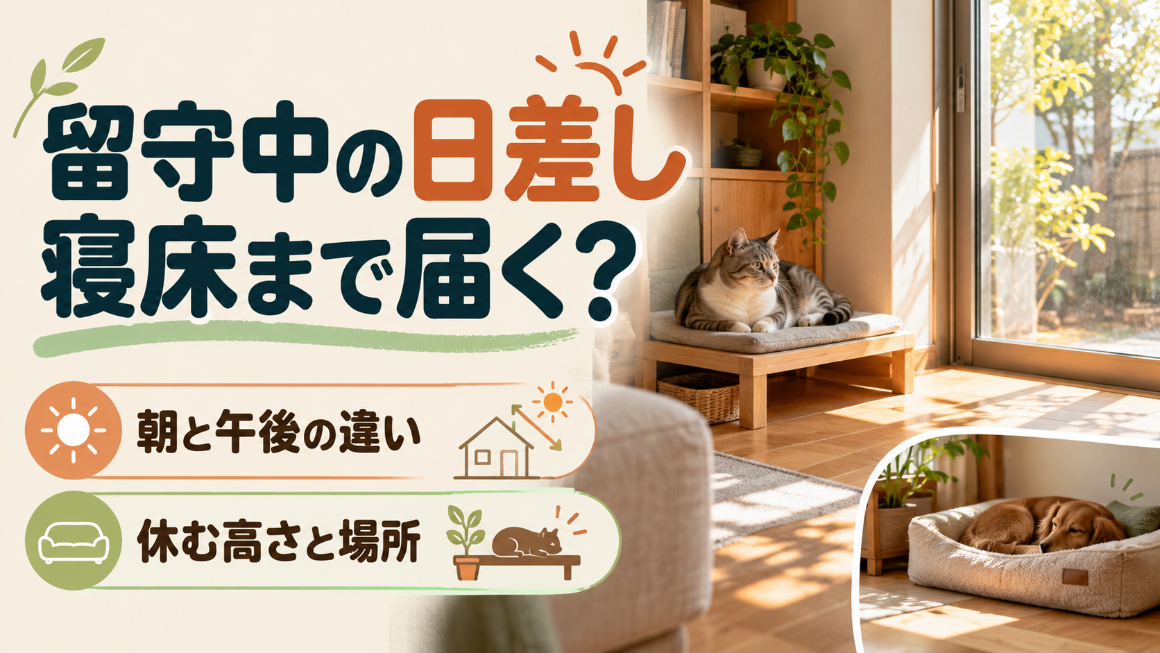朝と午後で変わる窓の日差しとペットの寝床の位置を確認するイメージ